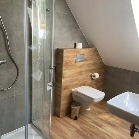 Górski W Pobliżu Wyciągów 3*