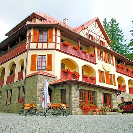 Gorski W Poblizu Wyciagow Frühstückspension 4*