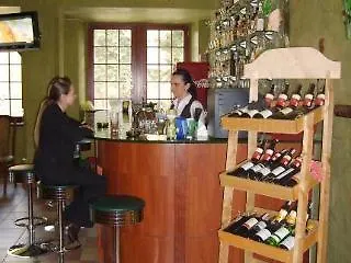 住宿加早餐酒店 Gorski W Poblizu Wyciagow 卡尔帕奇